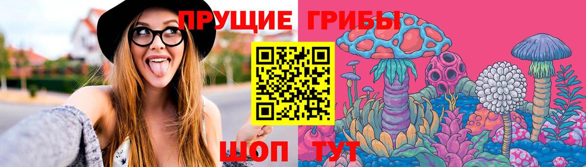 Галлюциногенные грибы Psilocybe  Вход с VPN  Лесной 